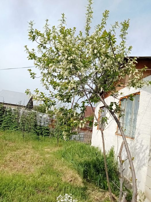 Продам дачу в ДП ,,Аксу"