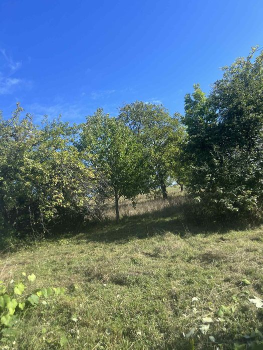 Vind casa in zona montană  Bihor