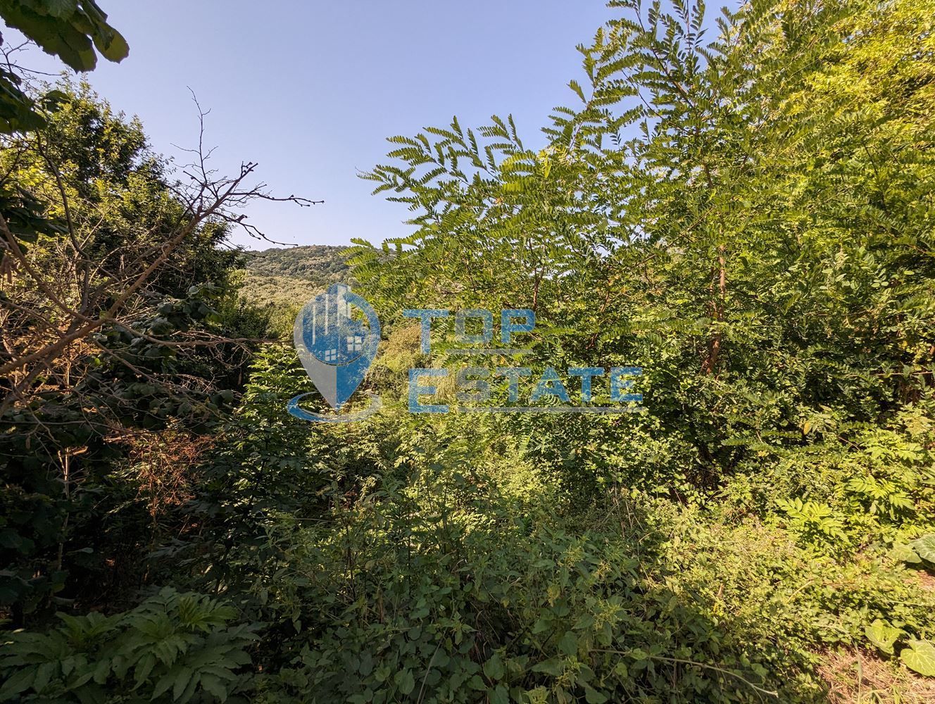 Парцел в село Малки чифлик