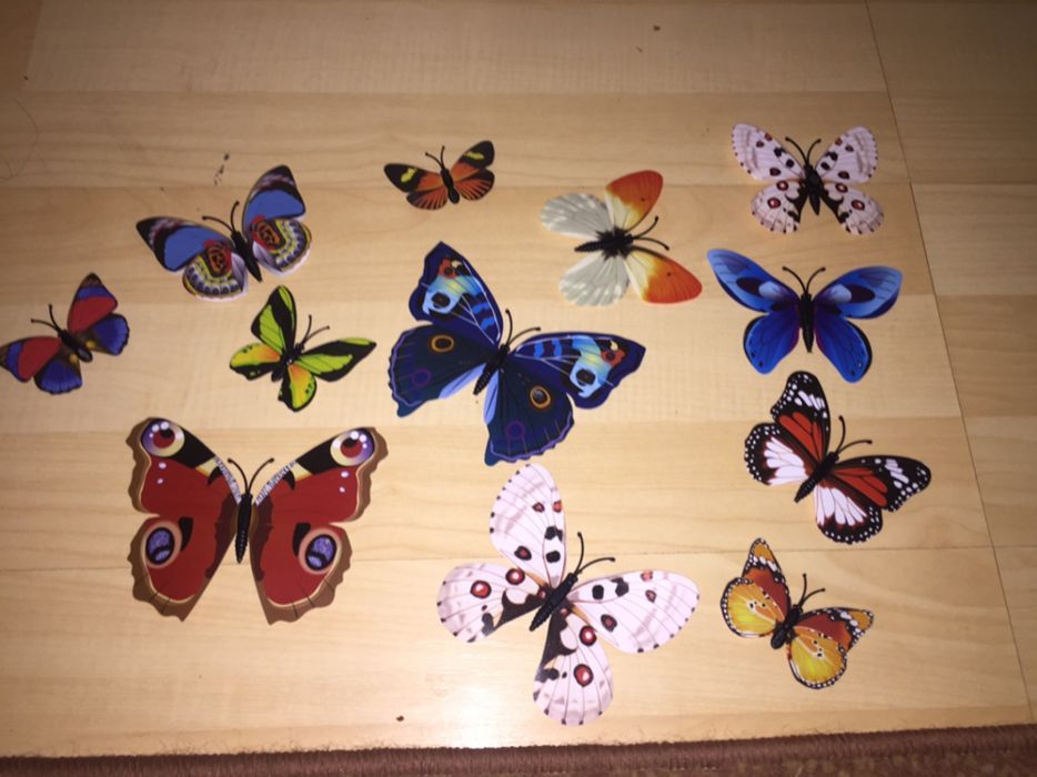 Fluturi decorativi 3D,multicolori