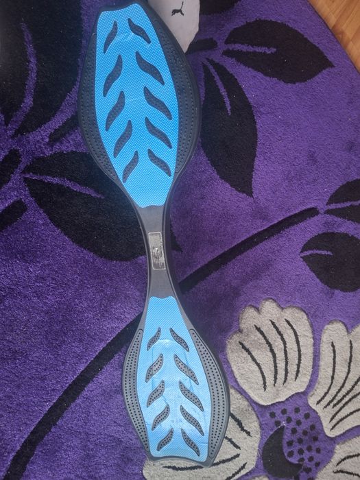 Skatebord cu 2 roți 550 lei