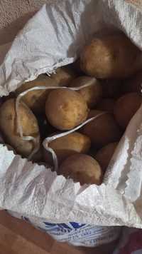 Деревенская картошка 130тг