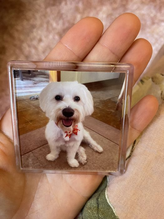 Магнит със снимка на любимец любим човек подарък куче рожден ден