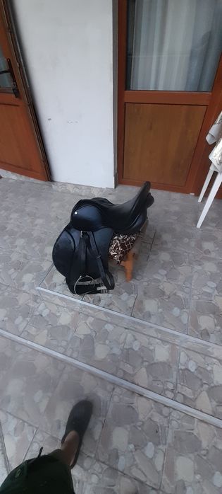 Sauă neagra din pele