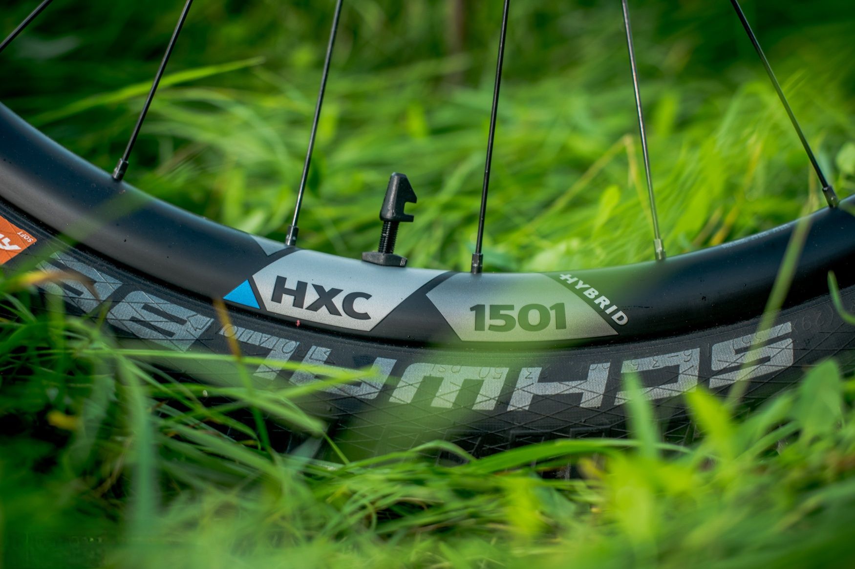 Roti 29 carbon DT SWIS HXC 1501 ca noi cu butucii DTSWISS 240