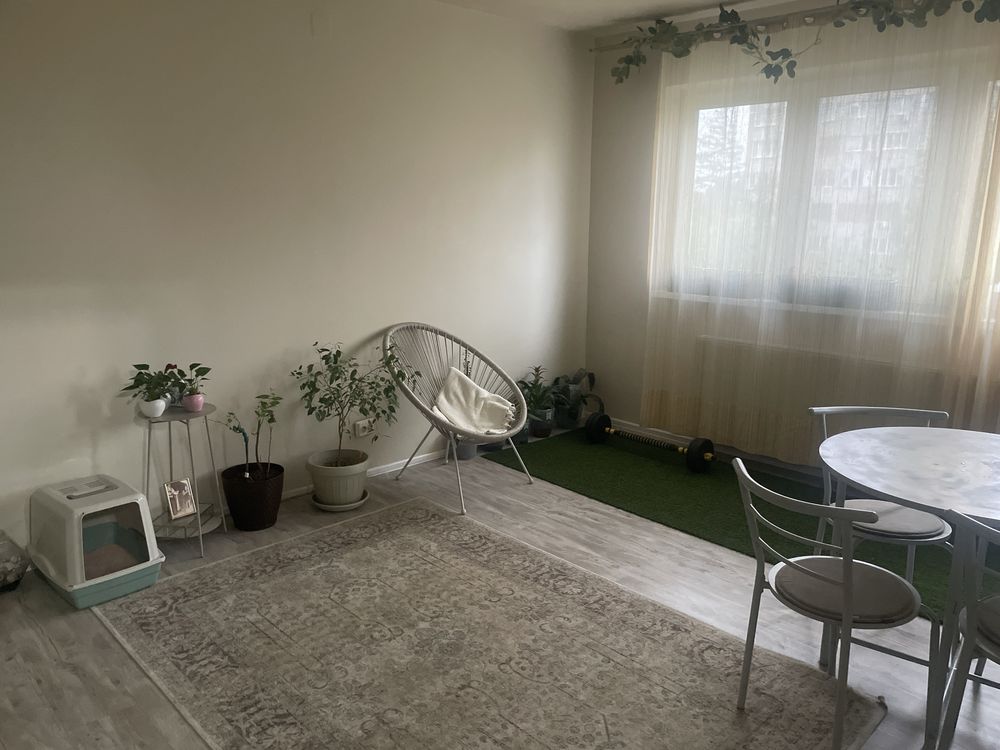 Apartament 2 camere Calea Sagului Timisoara