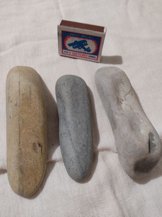 Ракушки натуральные,морские камни для аквариума.За  всё отдам 50 тыс