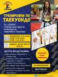 Тренировки по Таекуондо