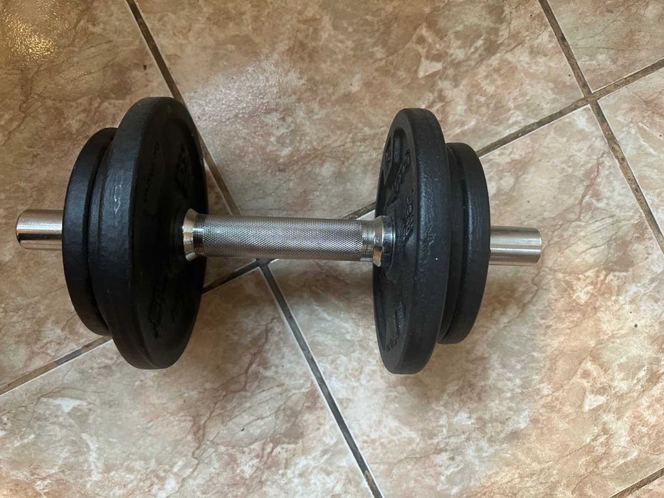 Ganteră 10 kg metal + discuri din fontă – stare foarte bună