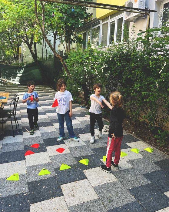 Afterschool si scoala de vara, Aurel Vlaicu