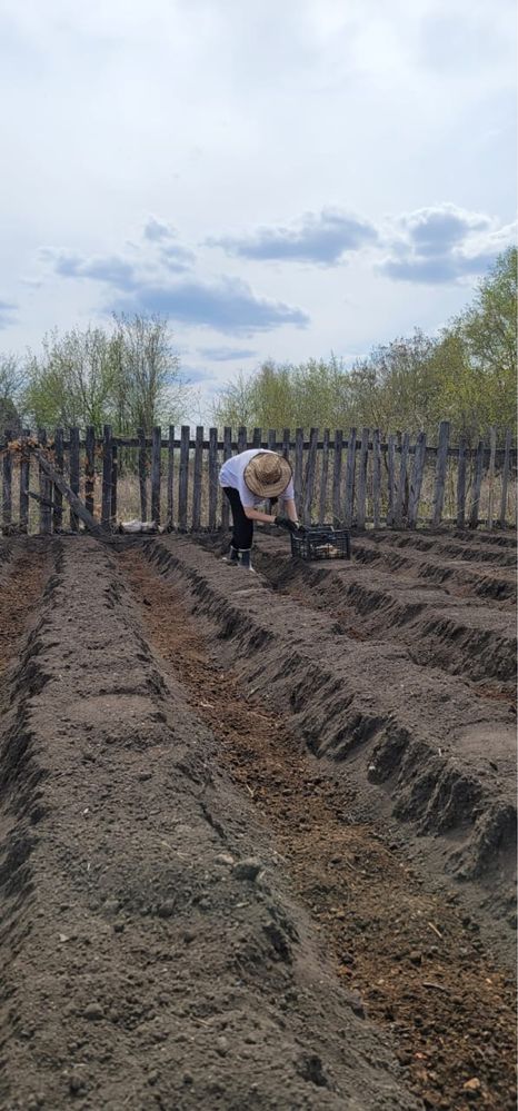 Продаю дачу в обществе Черемушки