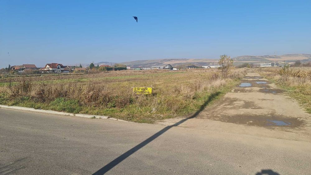 Teren intravilan sanicoara , Ideal pentru hale, case sau birouri