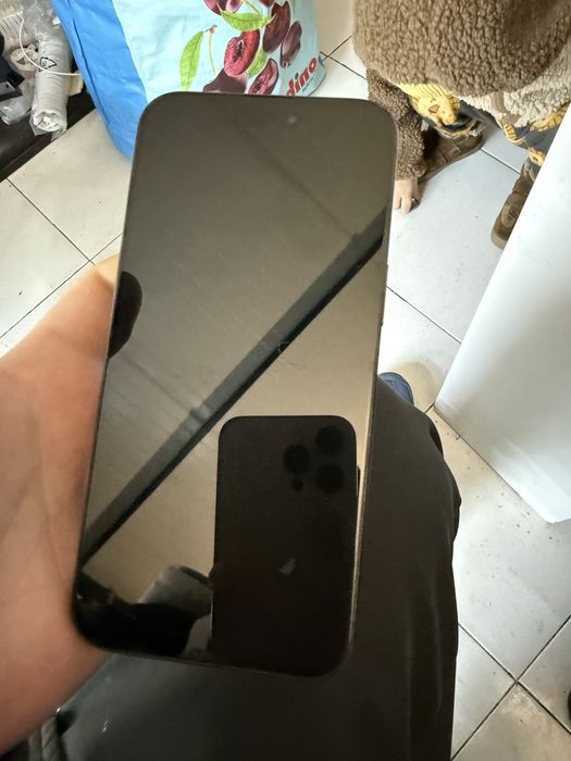 iPhone 15 Pro Max 256GB impecabil