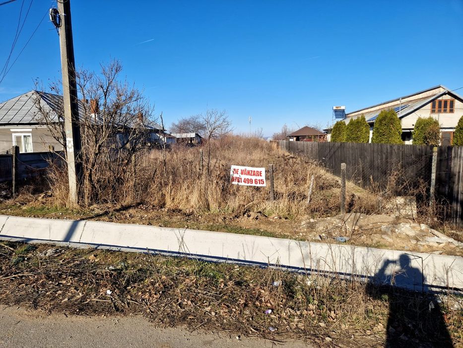 Teren  Plesoiu(Arcesti Cot)- Gazele vis-a-vis