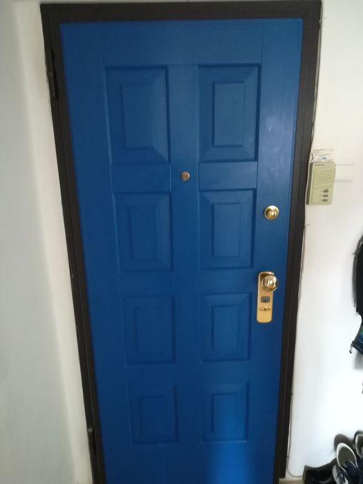 Vand Ușa intrare casa/apartament