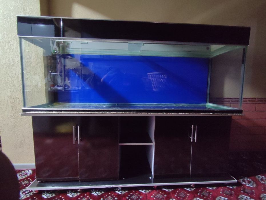 Akvarum sotiladi srochna
Uzunligi 1 metr 80 sm,
oynasi 1 li qalin o