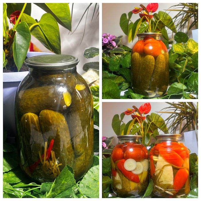 Домашные Соленные огурцы и ассорти