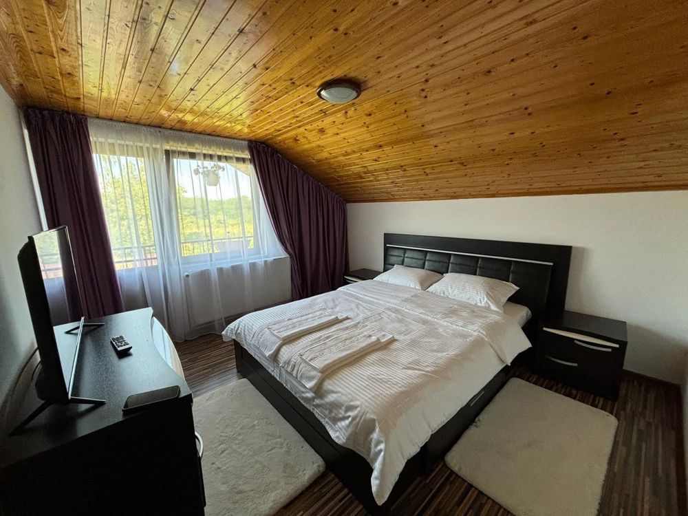 Casa de vanzare pe Valea Avrigului