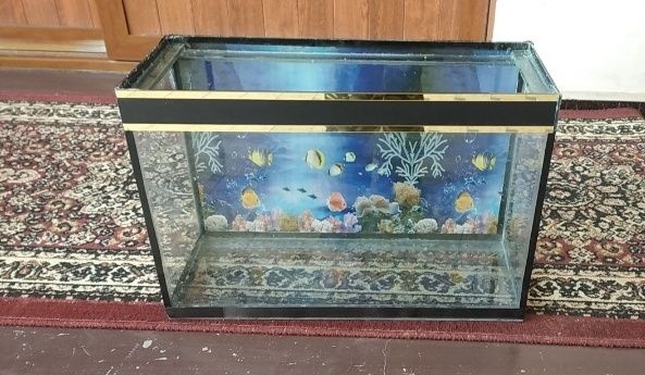 Аквариум разных видов