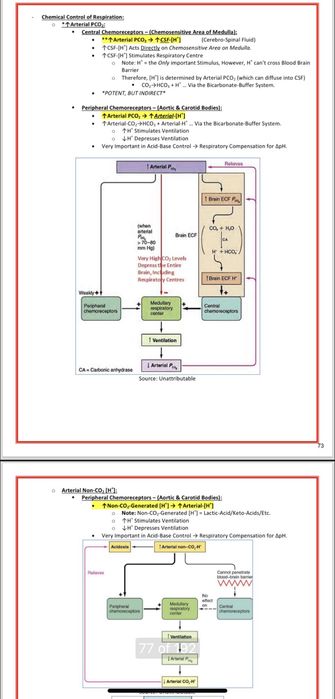 Anatomie, medicina fiziologie, sistem cardiovascular sistem respirator