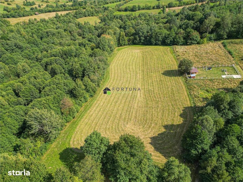 Teren de vanzare 4.500 mp Predelut, Bran!Ideal pentru case de vacanta