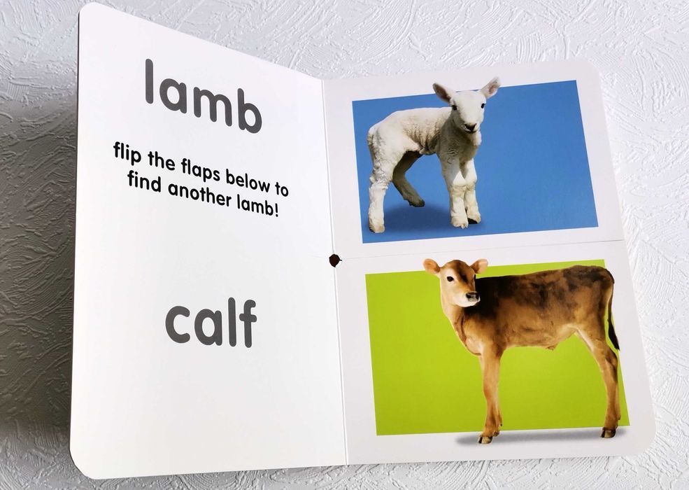 Carte copii ferma Board book Flip Flaps Farm Chez Picthall engleza