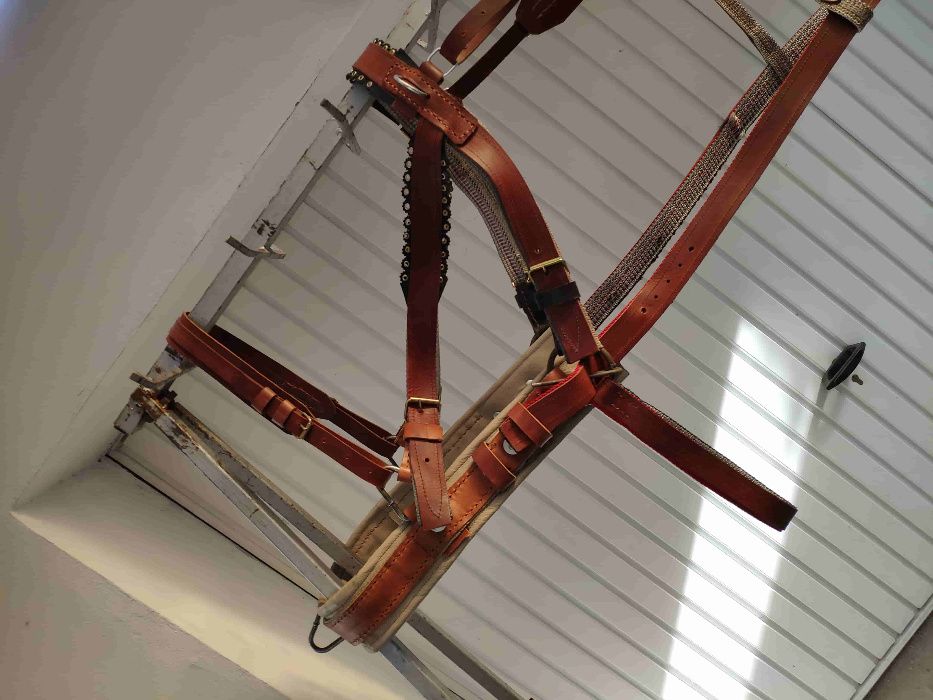 ham CAL | articol premium, fabricat din piele s.a. ⟣GARANTIE ⁴⁸