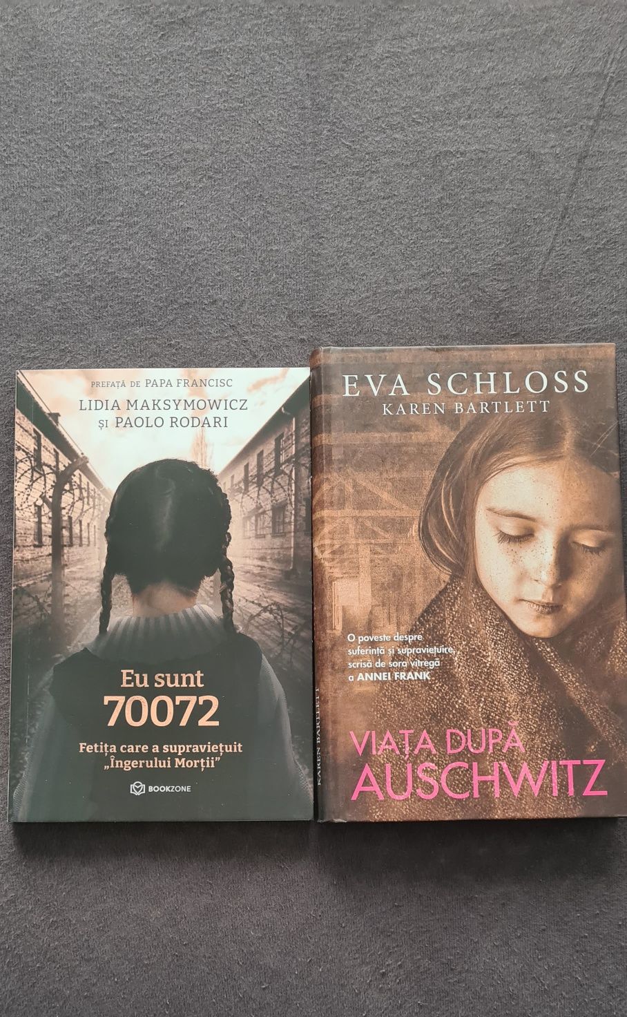 Carti contemporane și holocaust noi