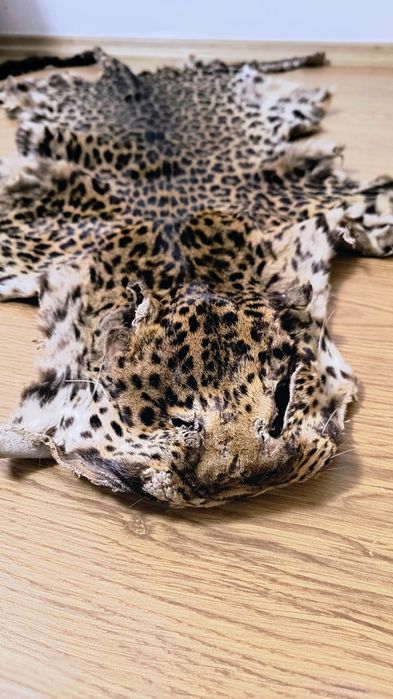 Blana leopard naturala