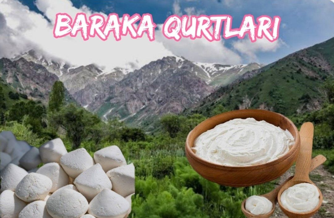 Baraka qurtlari Qashqadaryoni tabbiy qurtlari