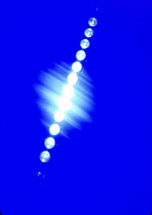 Arenda prokat serena Elina bars sirena migalka