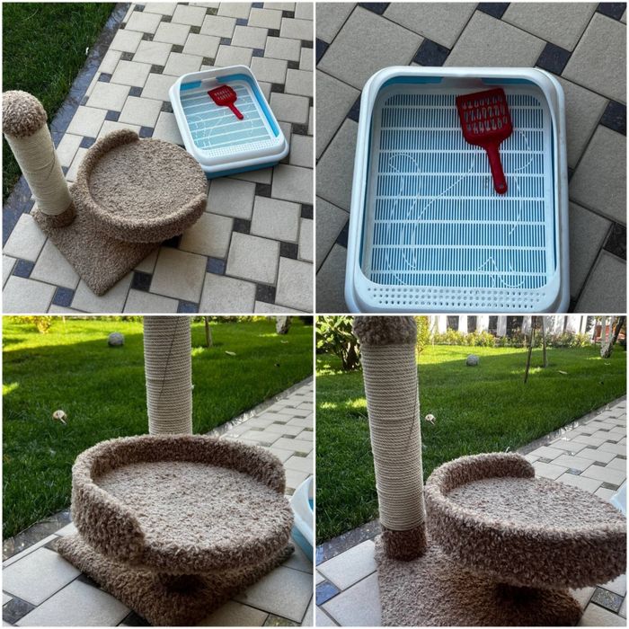 Latok Va Yotoqchasi