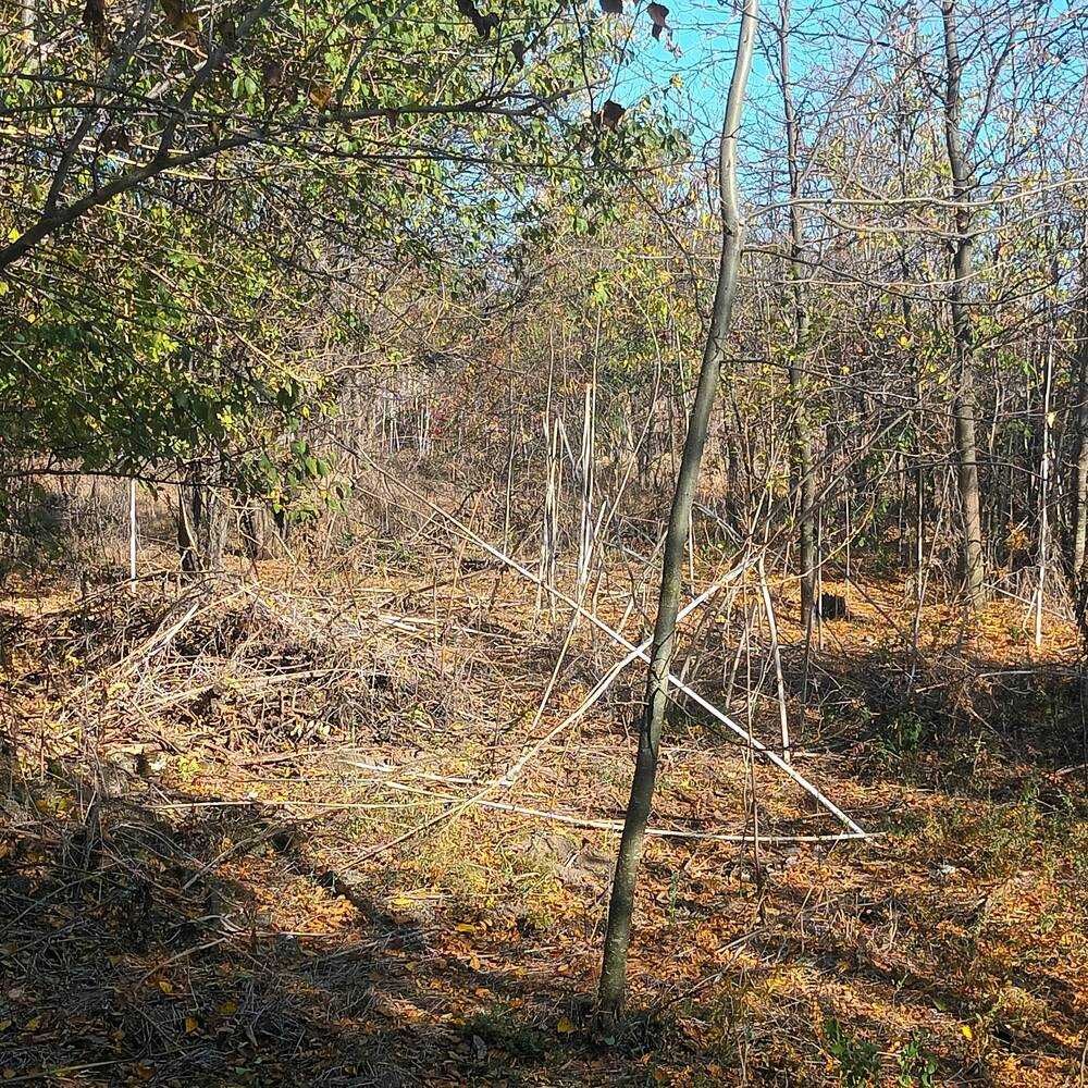 Продава се Парцел в с. Черноморци, Област Добрич - 6410 кв.м за 6 €/кв.м - Снимка #2