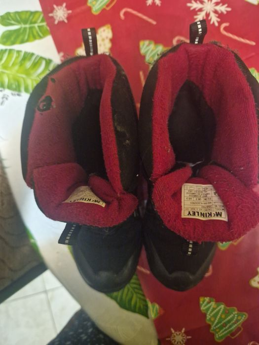 Bocanci 36 MC kinley