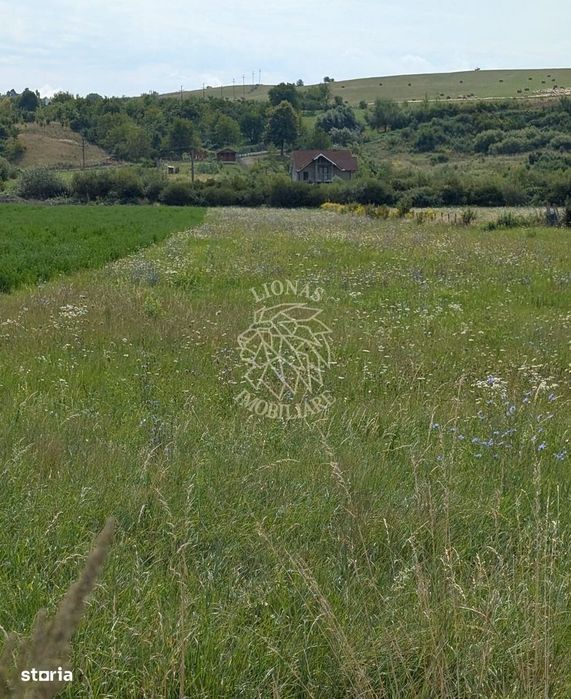 Teren intravilan 5200 mp cu utilitati-ideal constructie case-Zavoaie