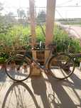 Velosiped yurib turibdi