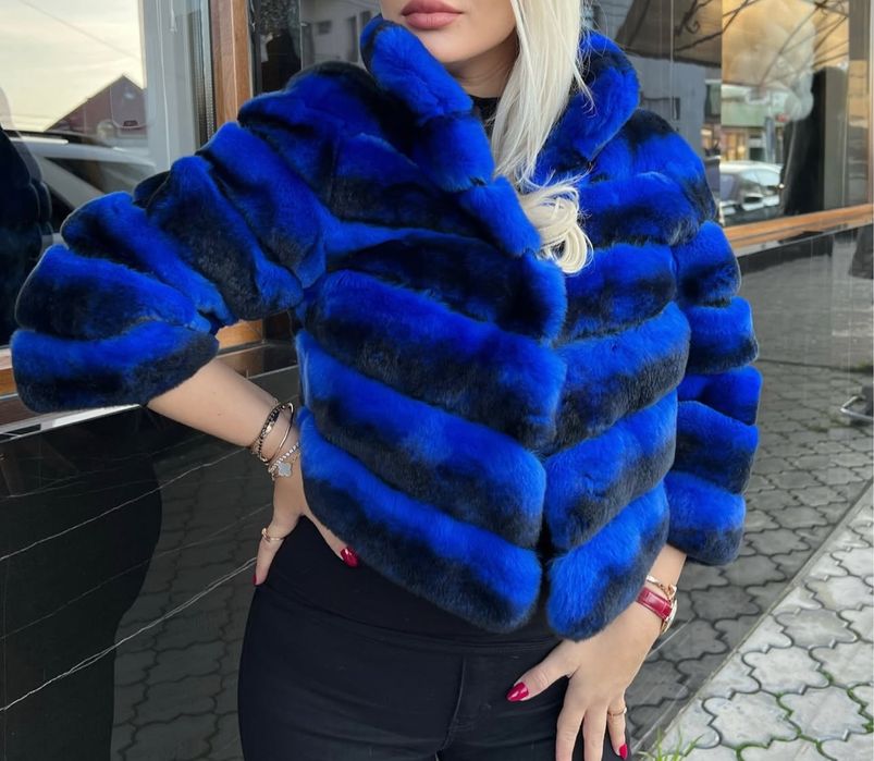 Blana chinchilla rex