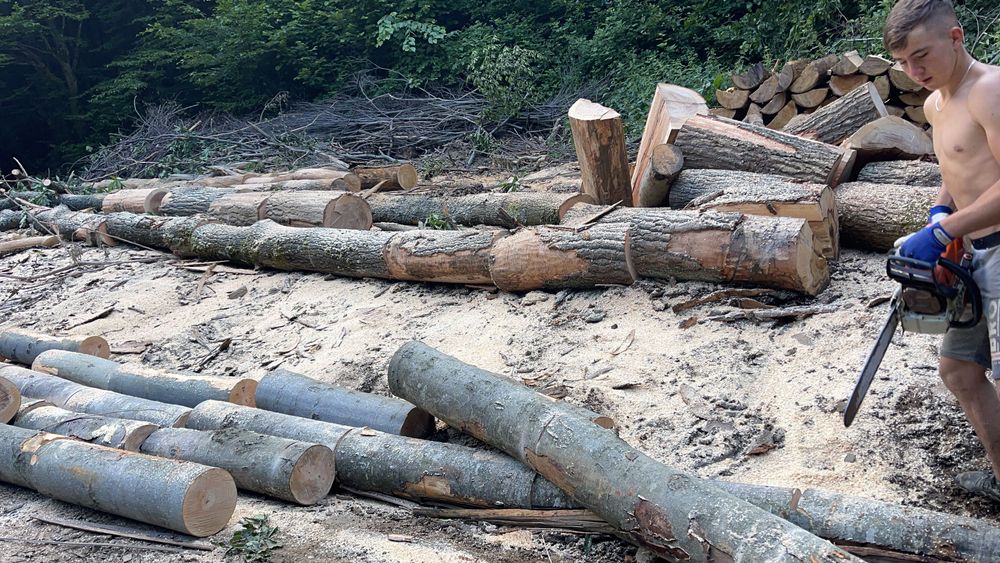 Vând lemne transport inclus!!!