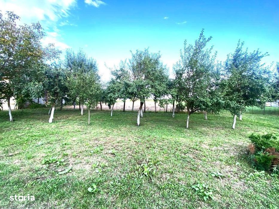 Terenuri de vânzare Boldur