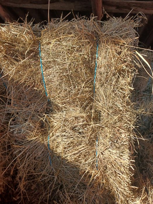 Baloți de lucernă și fân