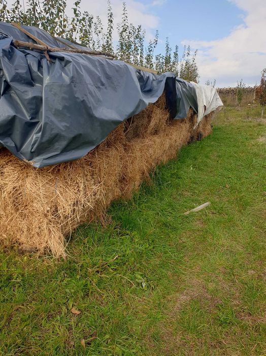 Vând baloți lucernă