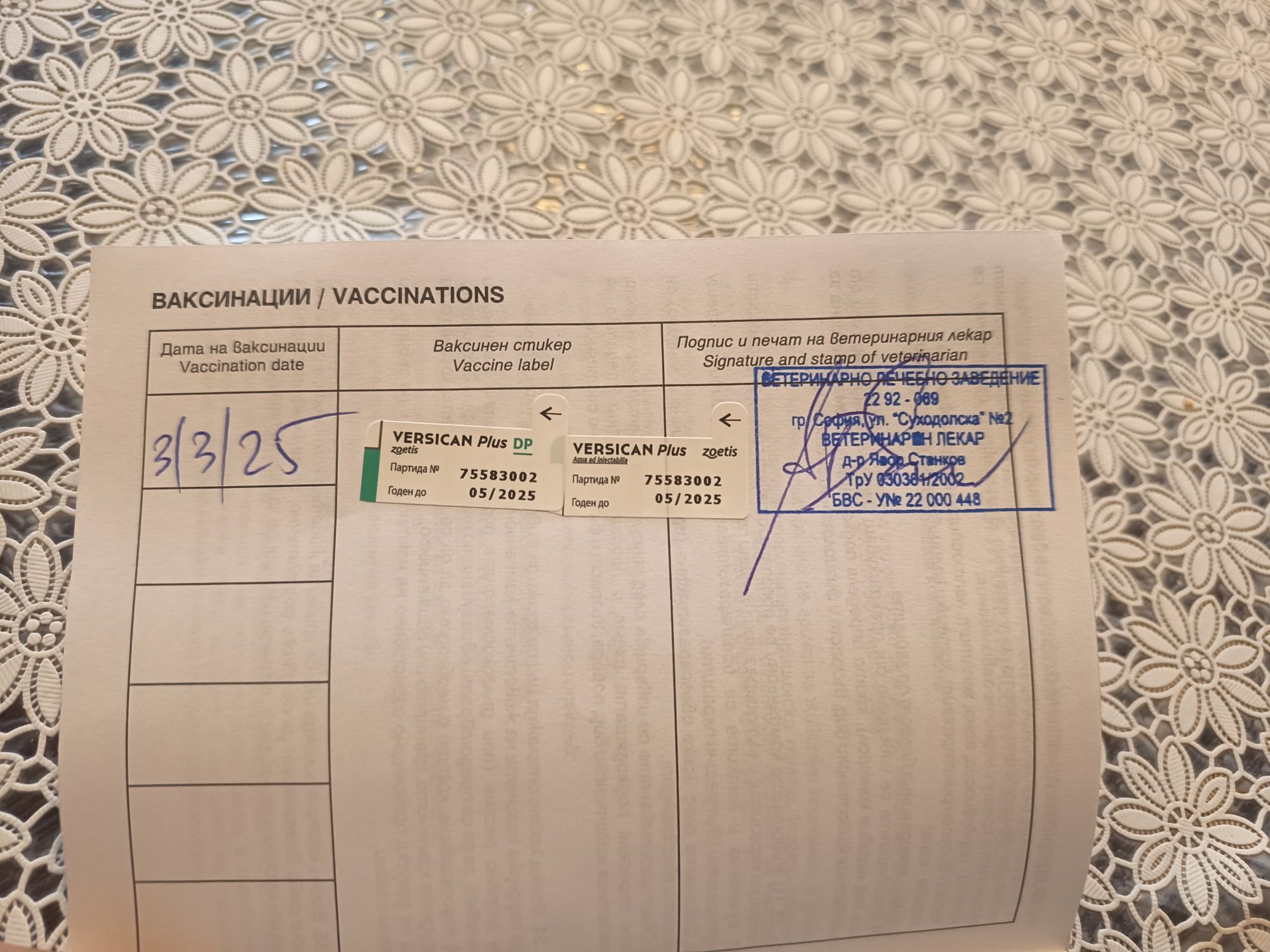 Продава се Йорки средно