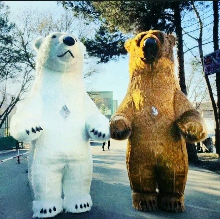 Ayiq ayiqlar ayicha xizmati animator ayiqlar kostyum