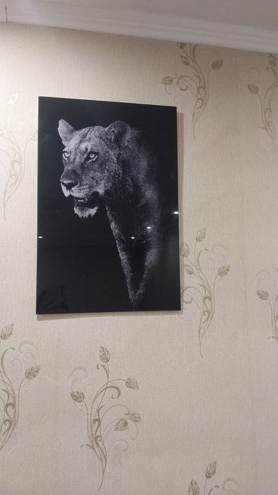 Портрет льва..#₸%&