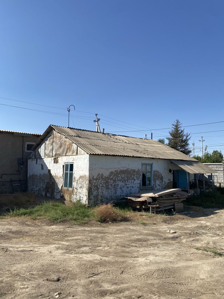 Агаш отын шифер полдын агашы