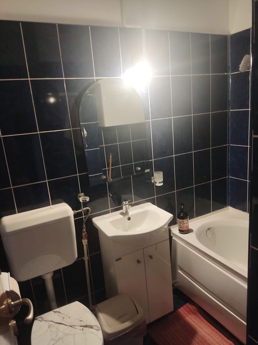 Apartament 1 camera in  Ic Frimu, proprietar