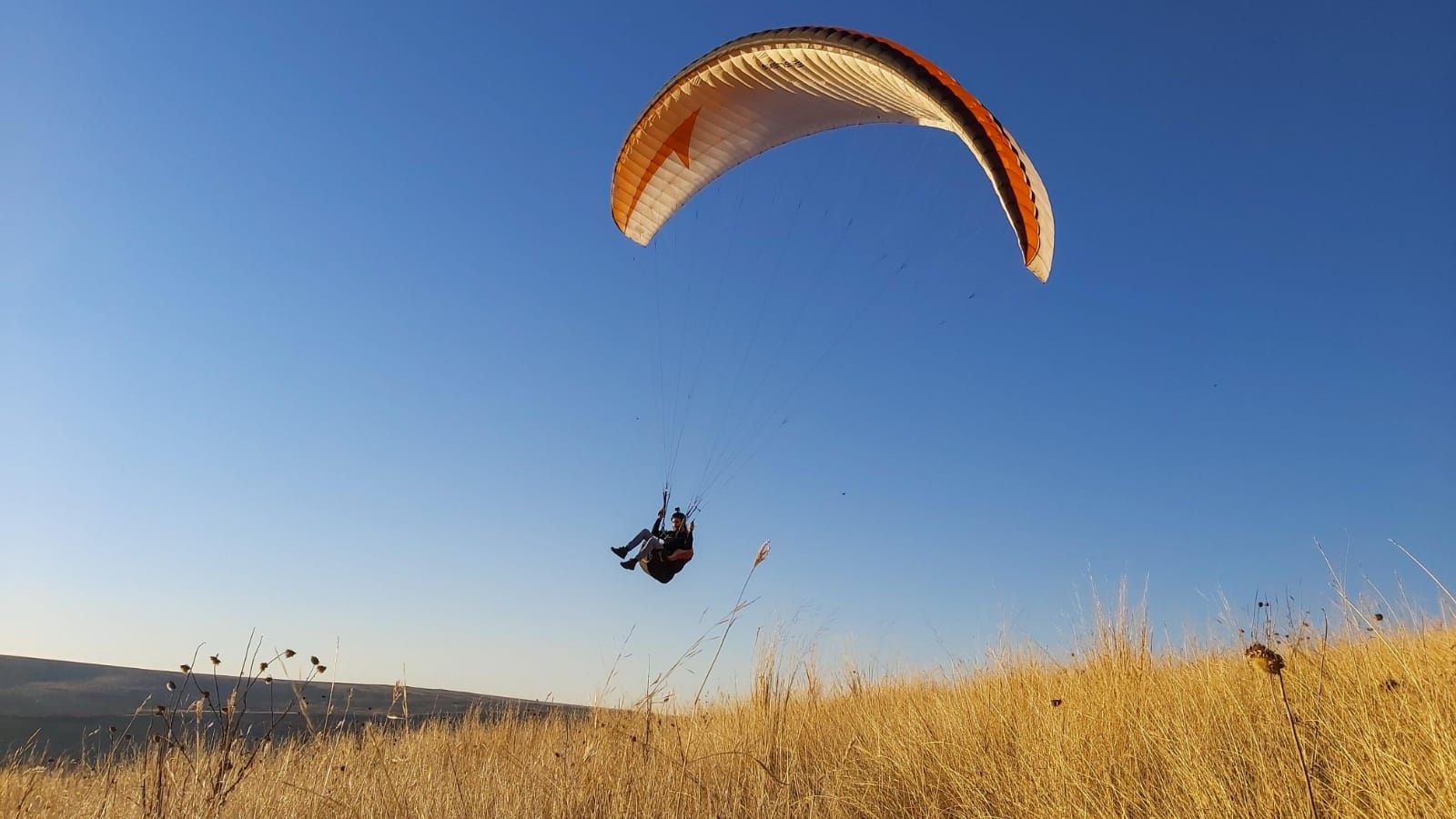 Parapanta: Aripa Swing Sensis S  2015