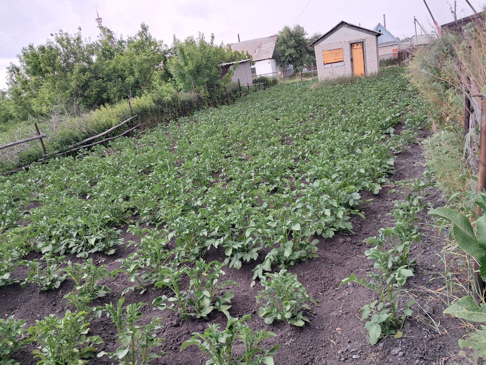 Продаётся дом в Боровском