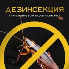 Дезинфекция Dezinfeksiya Xizmati 100%