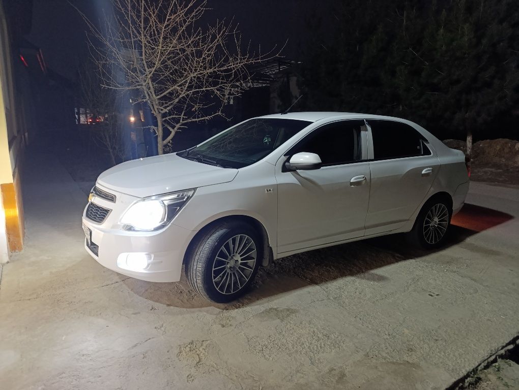 Cobalt 2019 53mln qarzi bor